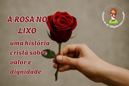 Rosa vermelha resgatada do lixo simbolizando valor e amor de Deus.
